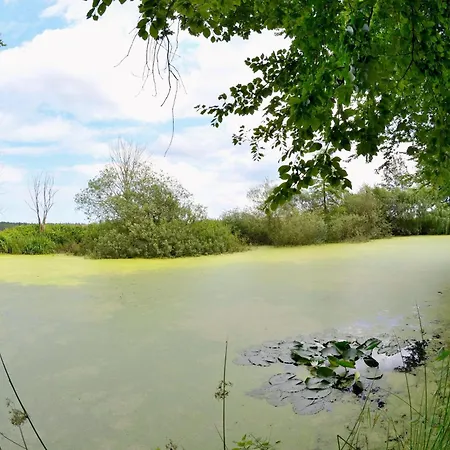 Apartment Jagdschloß Zu 2 *